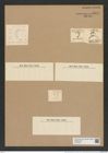 Pseudoeunotia hemicyclus (Ehr.) Grun. (de-Toni-Nr.: Genus 105, Species 3248) Zeichnungen Sammlung Grunow Nr. 6650 (NHMW-BOT-W0375429)